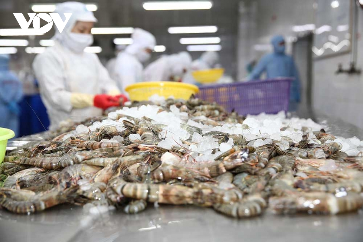 Vietnamese market in fifth place for shrimp exports to US in 2021
